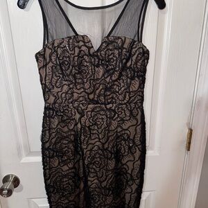 Black Beige Lace Overlay Dress